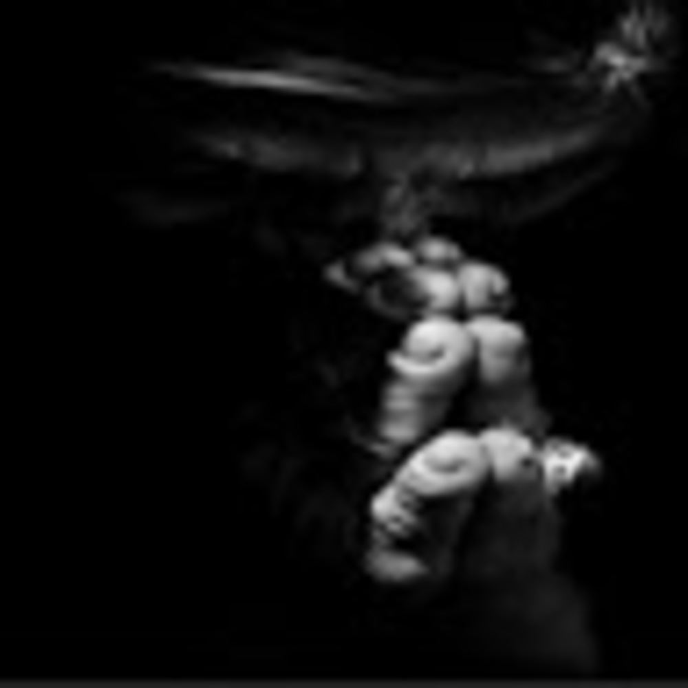 Meet your Posher, Rasheed